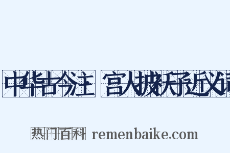 中华古今注·宫人披袄子近义词是什么意思的图片
